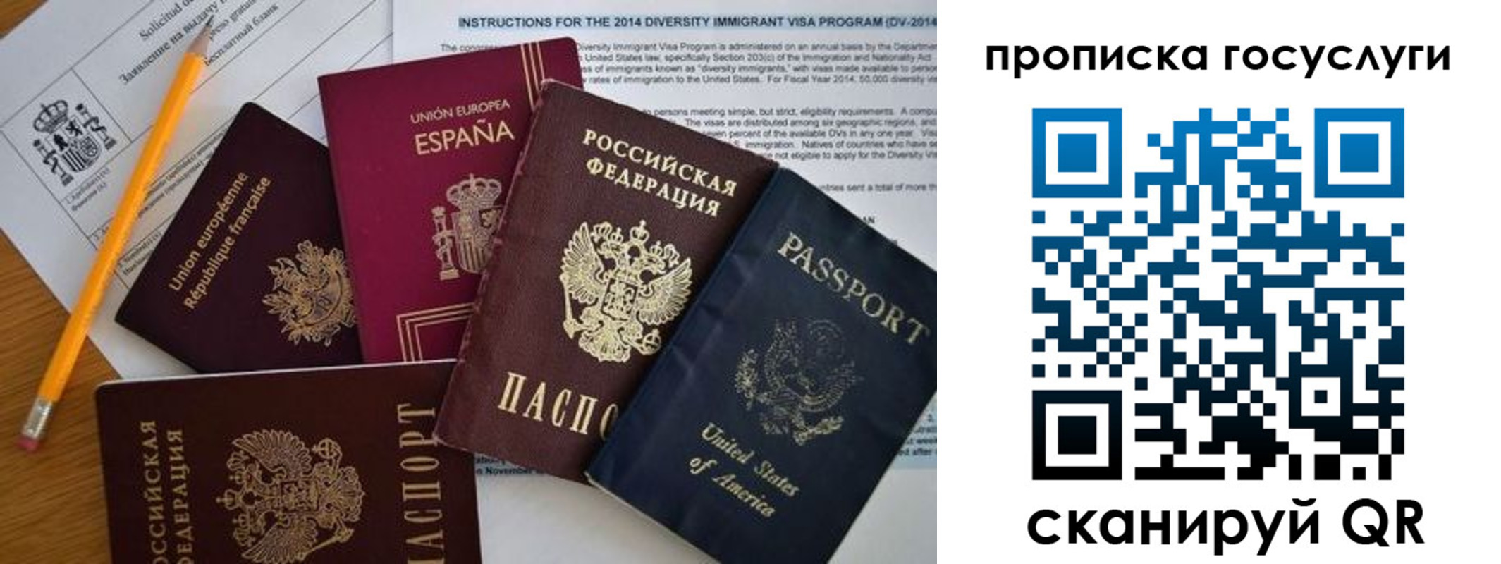 прописка гарантия в Элисте
